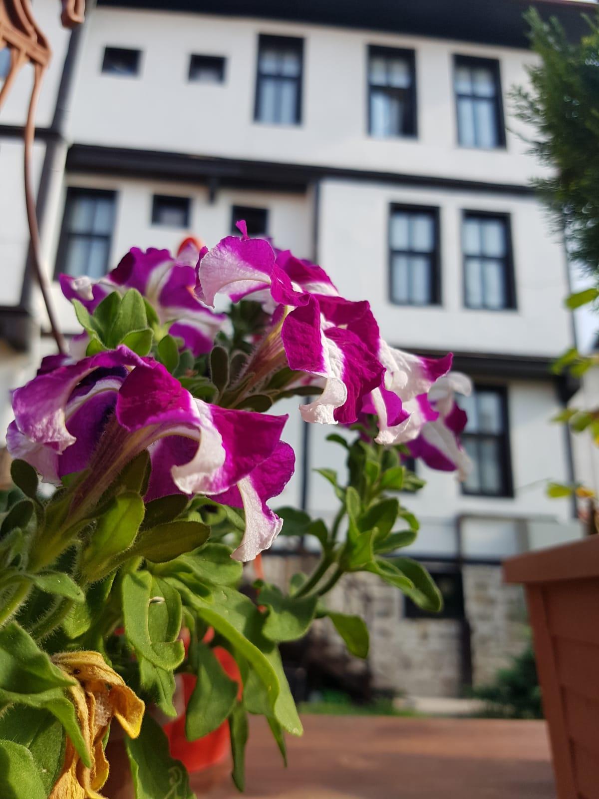 Hotel Kadioglu Konagi Kastamonu Exterior foto